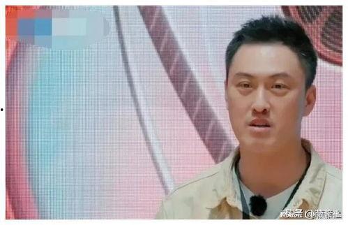 娱乐圈吃瓜爆料君,揭秘明星背后的秘密与真相